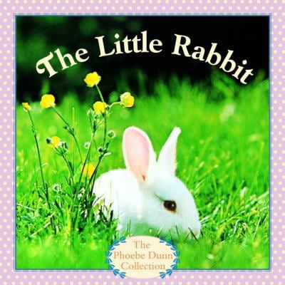 Pre-Owned The Little Rabbit (Paperback) 0394843770 9780394843773