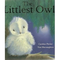 Pre-Owned The Littlest Owl (Hardcover) 1845067320 9781845067328