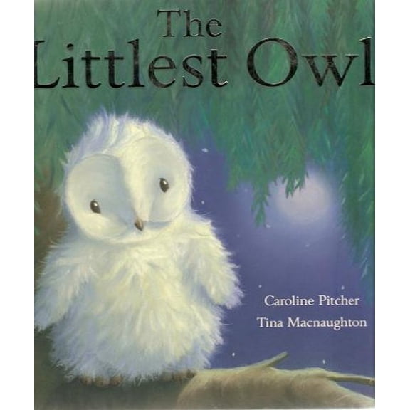 Pre-Owned The Littlest Owl (Hardcover) 1845067320 9781845067328