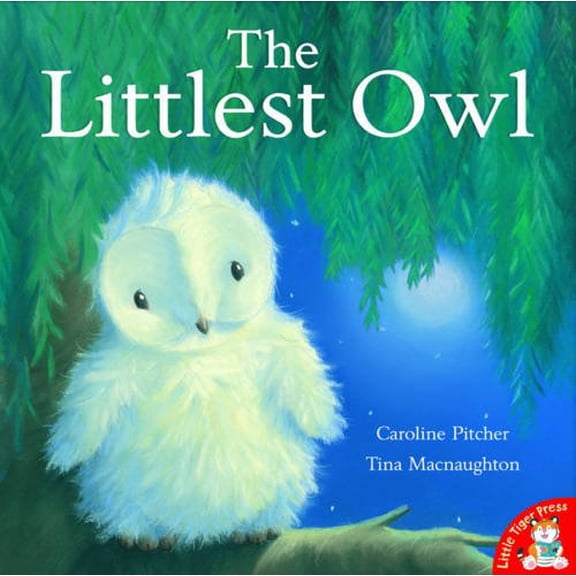 Pre-Owned The Littlest Owl (Paperback) 1845066227 9781845066222