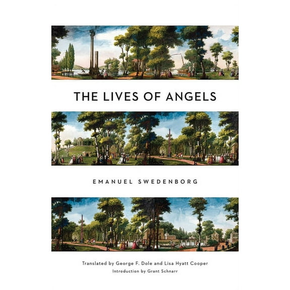 The Lives of Angels (Paperback)