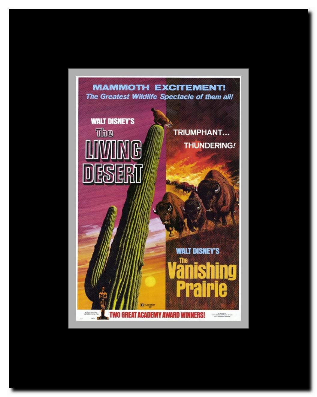 The Living Desert/The Vanishing Prairie Framed Movie Poster