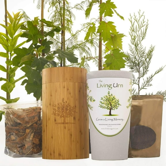The Living Urn Bio Urn Including a Premium Young Tree of Choice. Grow a Living Tree Memorial from Cremation Ashes