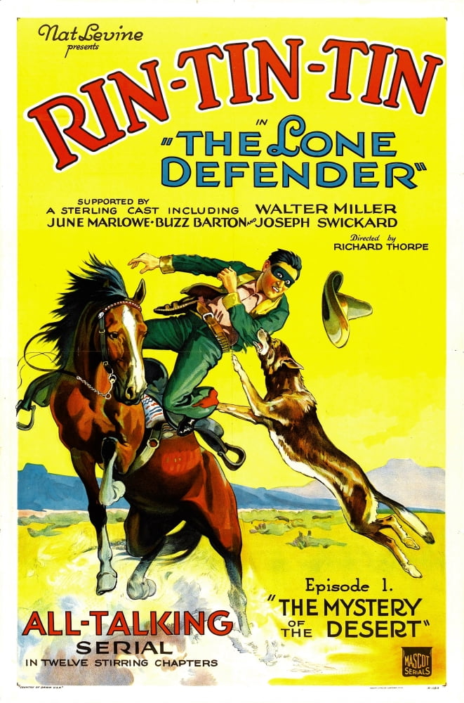 The Lone Defender Canvas Art - (24 x 36)