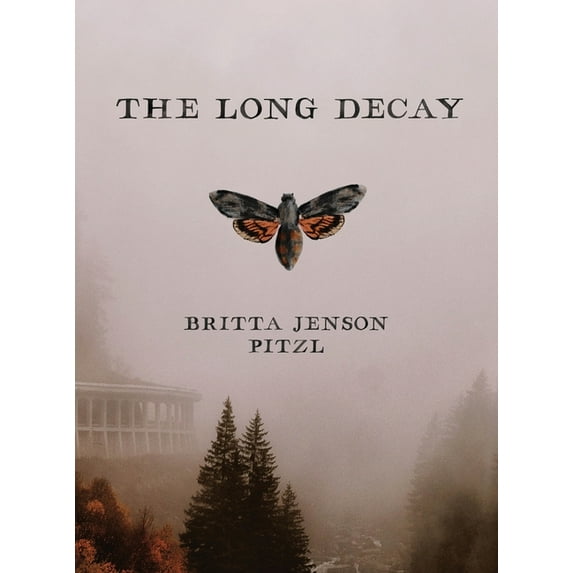 The Long Decay, (Hardcover)