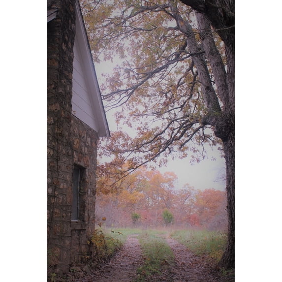 The Long Forgotten (Paperback)