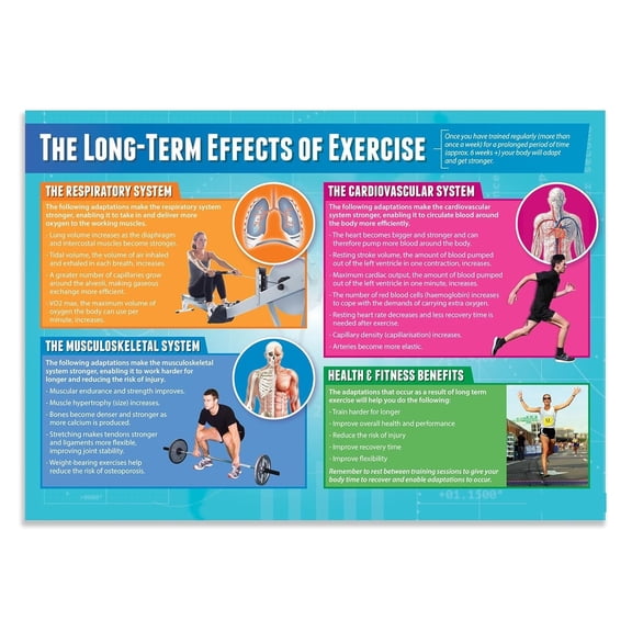 The Long-Term Effects of Exercise Classroom Poster Physical Education Middle & High School Class Decor