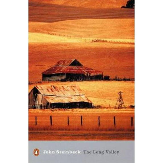 Pre-Owned Long Valley (Paperback) 0141185511 9780141185514
