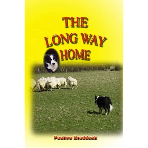 The Long Way Home, (Paperback)