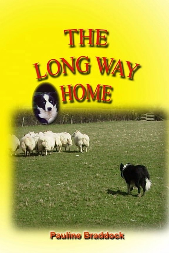 The Long Way Home, (Paperback)