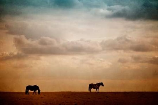 The Lookout Canvas Art - Roberta Murray (24 x 36)