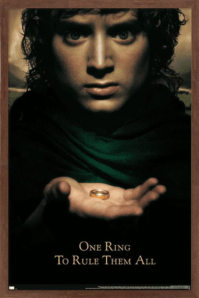 The Lord of the Rings: The Fellowship of the Ring - One Sheet Wall Poster, 22.375" x 34", Framed