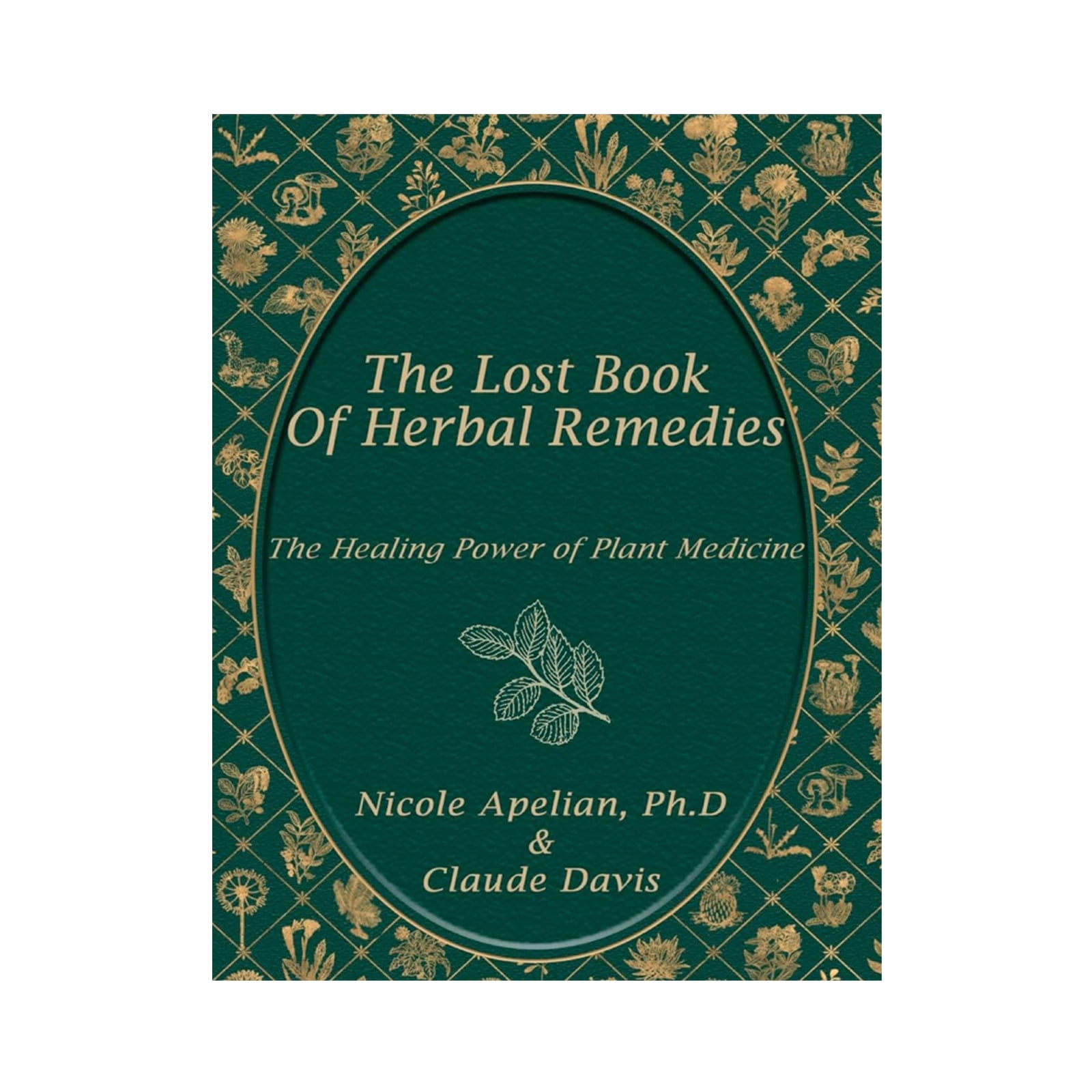 The Lost Book of Herbal Remedies I: A Guide to The Medicinal Art of ...