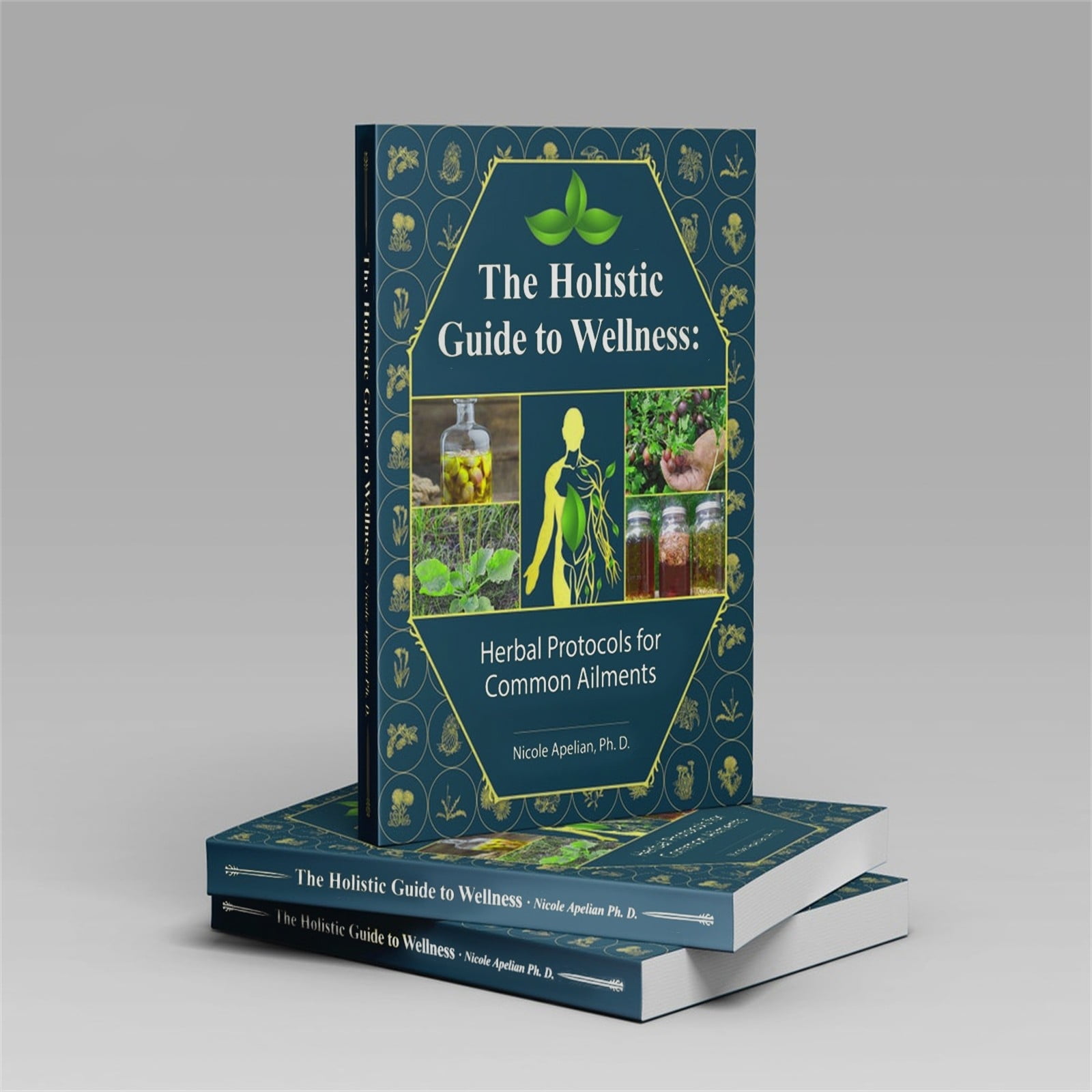 The Lost Book of Herbal Remedies Standard Edition