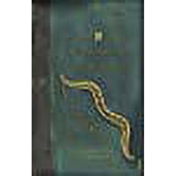 The Lost Books of the Odyssey Zachary Mason (Paperback)