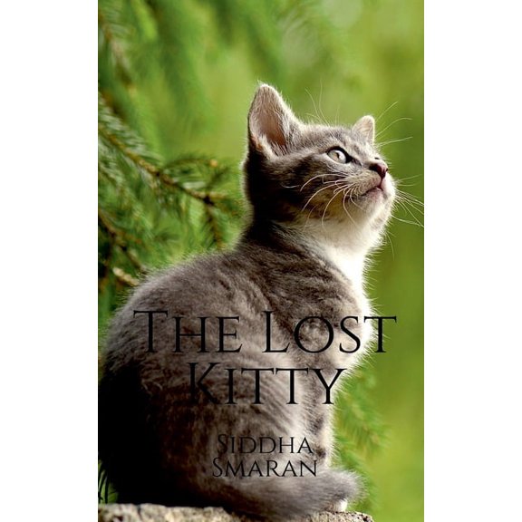The Lost Kitty, (Paperback)