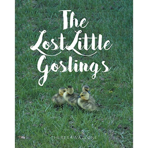 Pre-Owned The Lost Little Goslings (Paperback) 1646705343 9781646705344