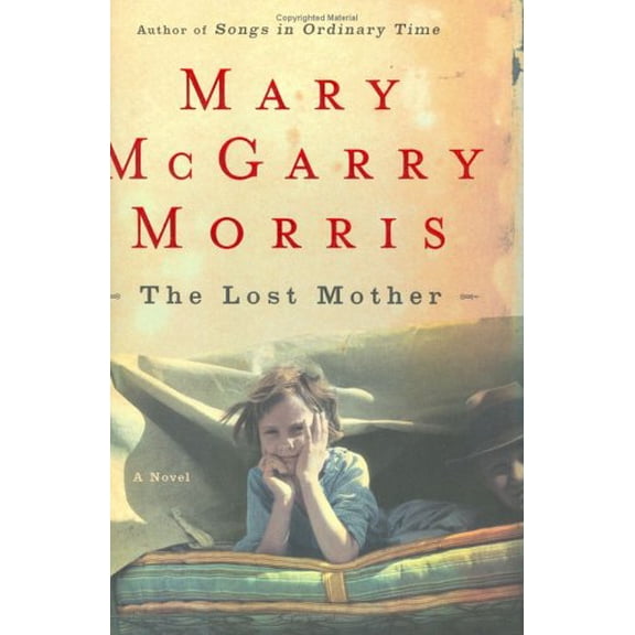 Pre-Owned The Lost Mother: A Novel (Hardcover) 0670033898 9780670033898