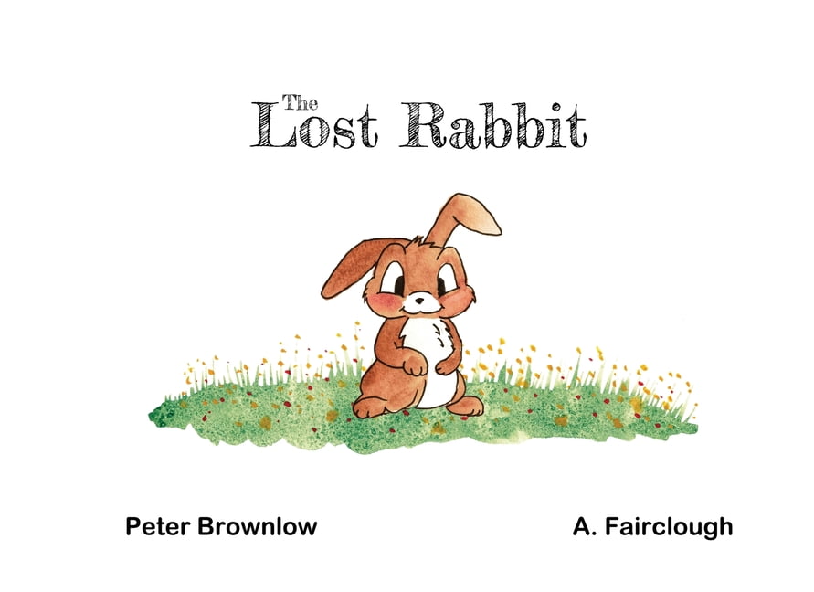 The Lost Rabbit, (Paperback)