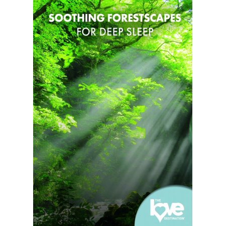 The Love Destination Courses: Soothing Forestscapes For Deep Sleep