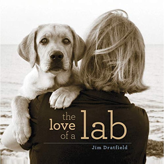 Pre-Owned The Love of a Lab (Paperback) 9781493038954