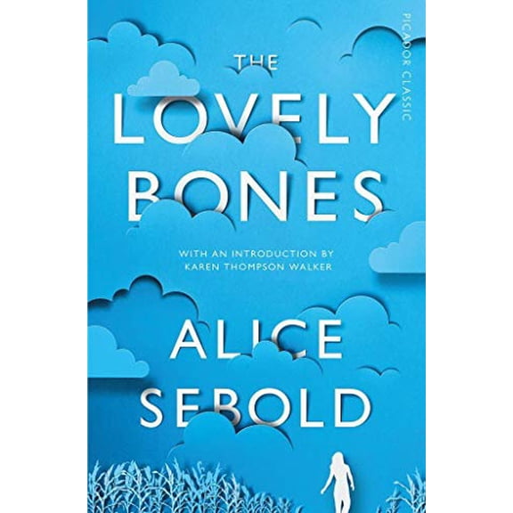 Pre-Owned The Lovely Bones (Paperback) 0316303062 9780316303064