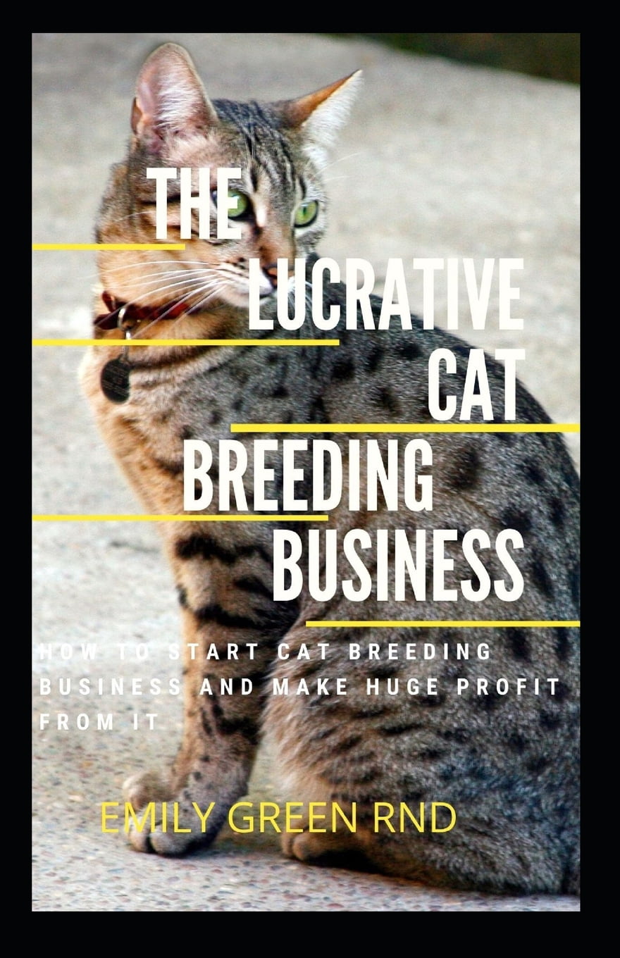 How to Start Cat Breeding: Ultimate Guide for Beginners