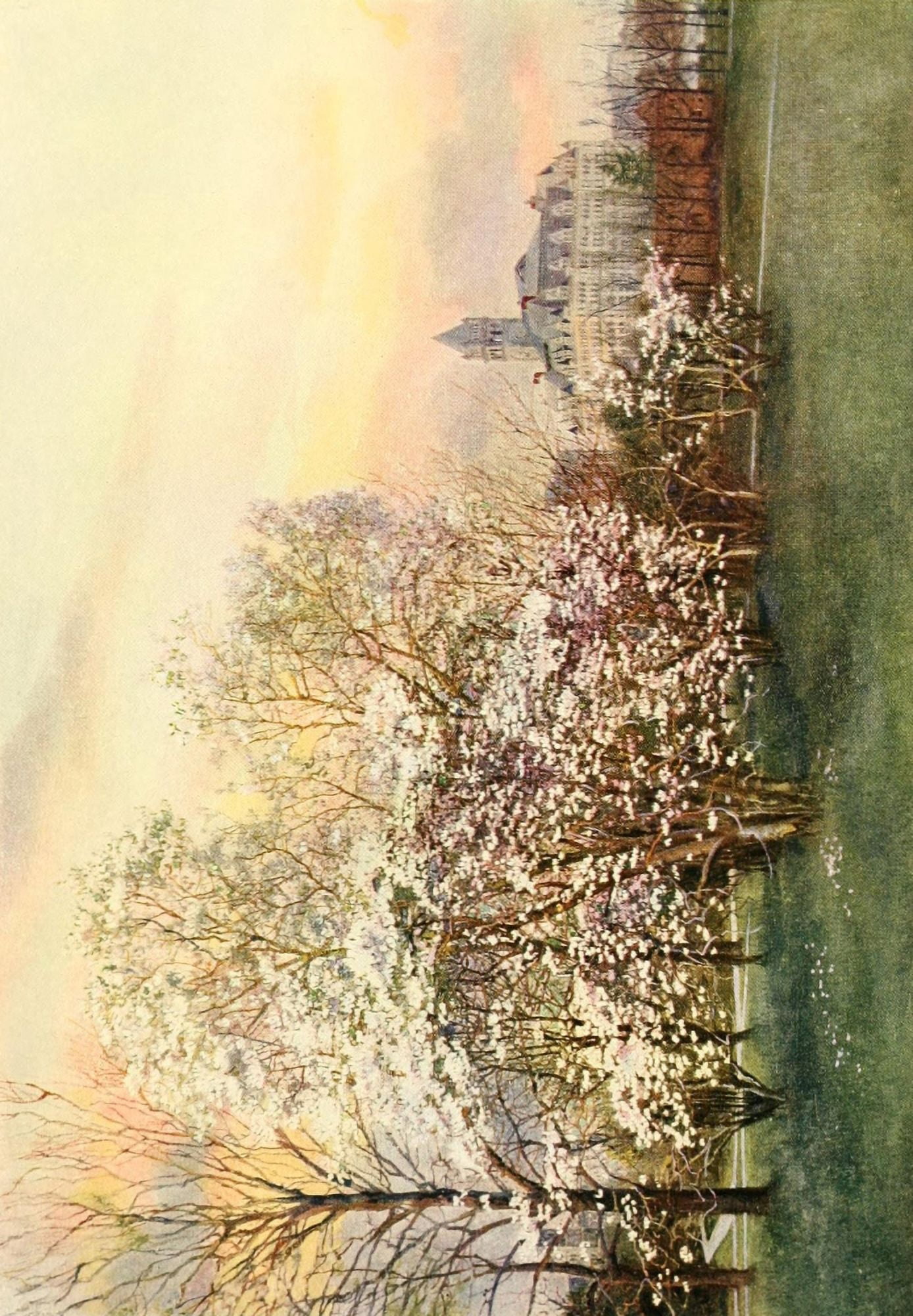 The Lure of Washington 1920 US Post Office & Magnolias Canvas Art - Unknown (18 x 24)