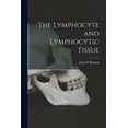thumbnail image 1 of The Lymphocyte and Lymphocytic Tissue, (Paperback), 1 of 1