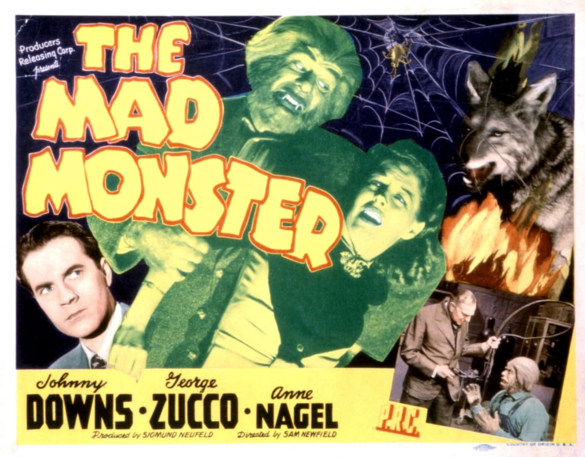 The Mad Monster Canvas Art - (28 x 22)