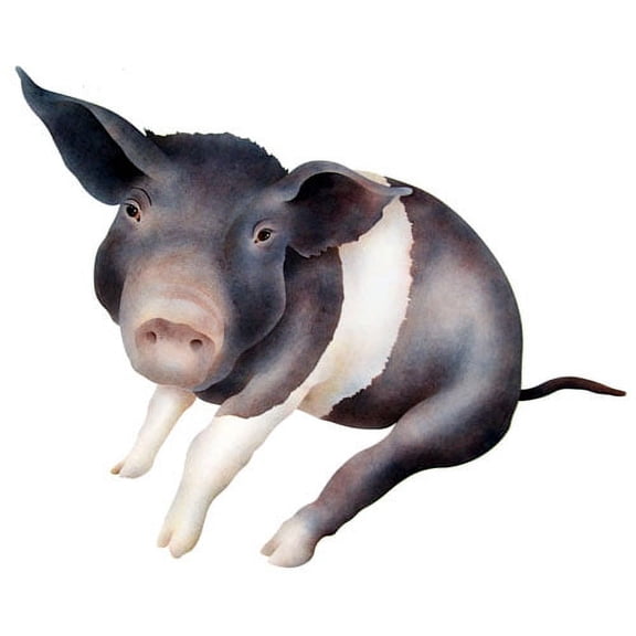 The Mad Stencilist Sitting Pig Wall Stencil; TMS801