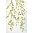 thumbnail image 1 of The Mad Stencilist Willow Boughs Wall Stencil; TMS404, 1 of 1