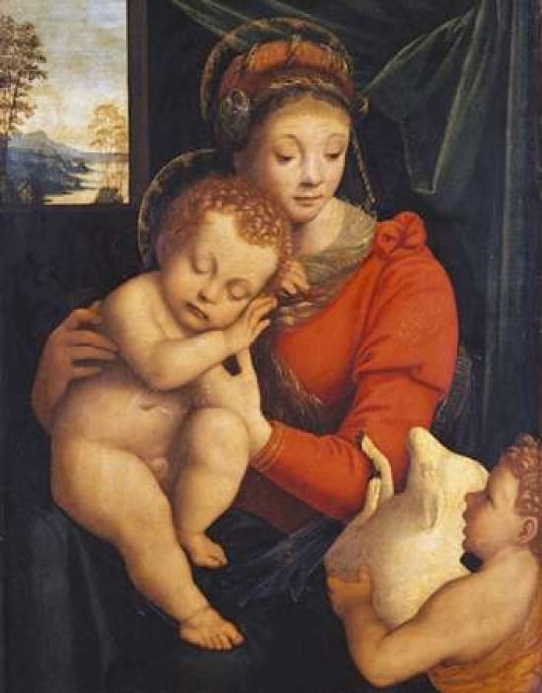 The Madonna With The Sleeping Child and The Infant Baptist Canvas Art - Bernardino Lanino (22 x 28)