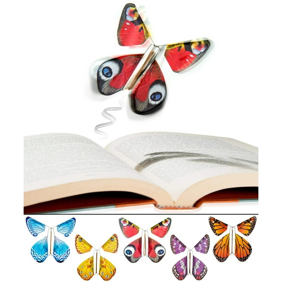 The Magic Butterfly