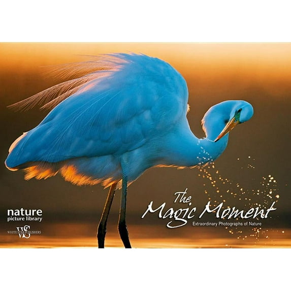 The Magic Moment (Hardcover)