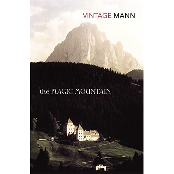 Pre-Owned The Magic Mountain, 9780749386429, 0749386428, Paperback, New Ed edition