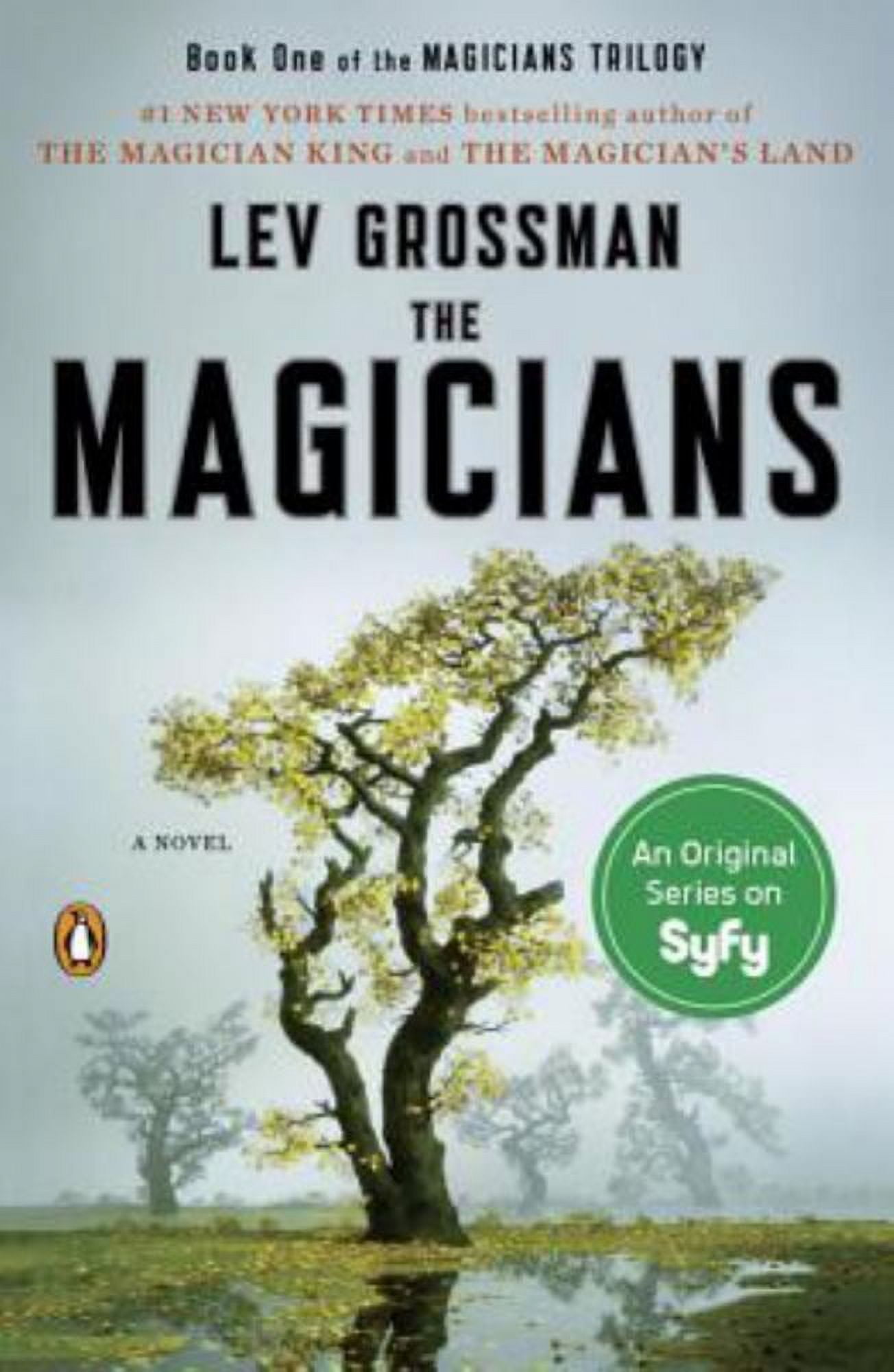 The Magicians: A Novel (Paperback) - Walmart.com