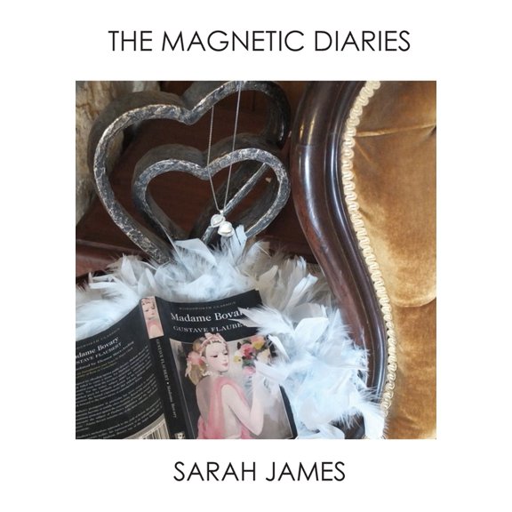 The Magnetic Diaries (Paperback)