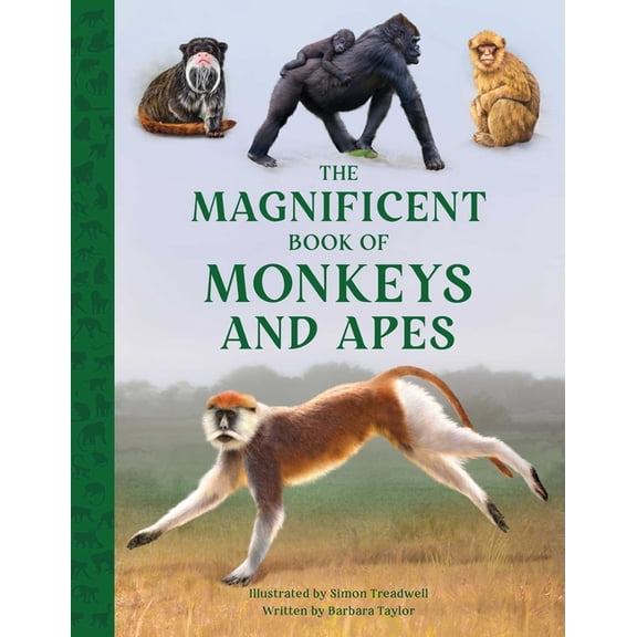 Magnificent Book of The Magnificent Book of Monkeys and Apes, (Hardcover)