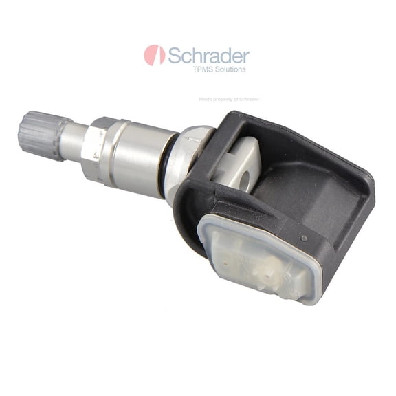 The Main Resource 29135 Schrader Aluminium Clamp-in Variabl