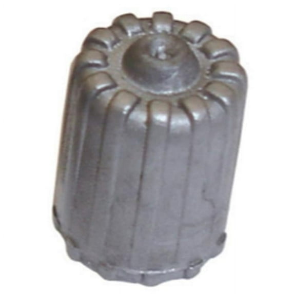 The Main Resource TR25306 Standard Tpms Plastic Gray Cap