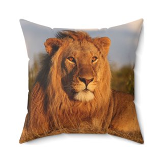 Lion king hot sale pillow walmart