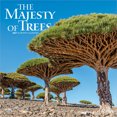 thumbnail image 1 of The Majesty of Trees | 2027 12x24" (Hanging) Wall Calendar | Plastic-Free, 1 of 9
