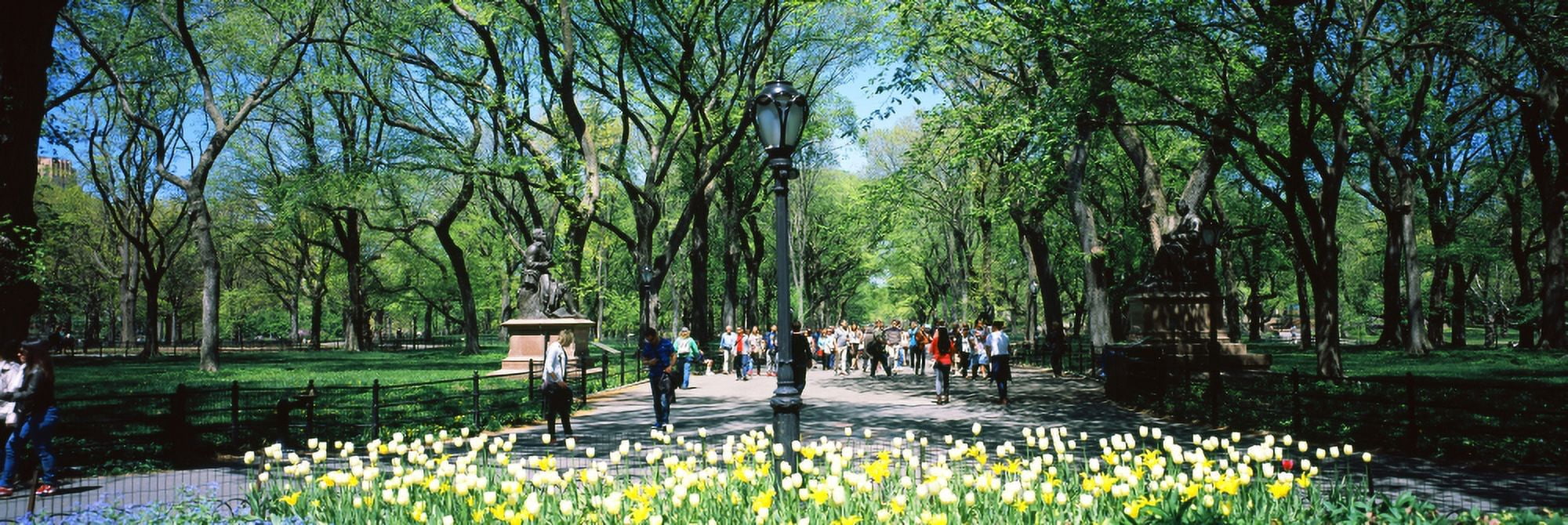 The Mall and Literary walk Central Park Manhattan New York City New York State USA Canvas Art - Panoramic Images (36 x 12)