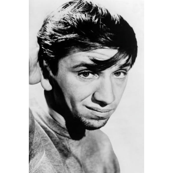 The Many Loves of Dobie Gillis Bob Denver 24x36 Poster
