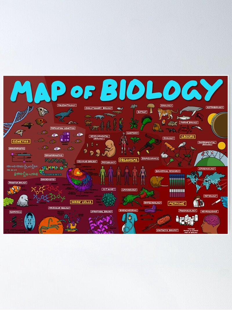 Map Reipce The Map Of Biology Poster - MULTIPLE SIZE, UNFRAMED - Walmart.com