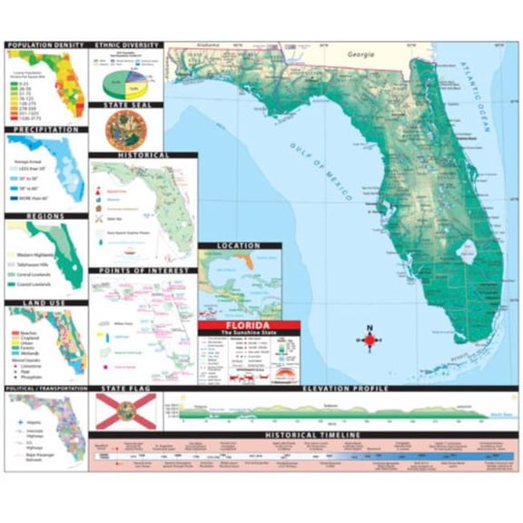 The Map Shop KA-S-FL-INTER-lam-rails-black Florida Intermediate Thematic Wall Map, Laminated with Rails - Black Molding - 64 x 54 in.