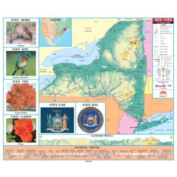 The Map Shop KA-S-NY-PRMRY-lam-rails-walnut York Primary Thematic State Wall Map, Laminated with Rails - Walnut Molding - 64 x 54 in.
