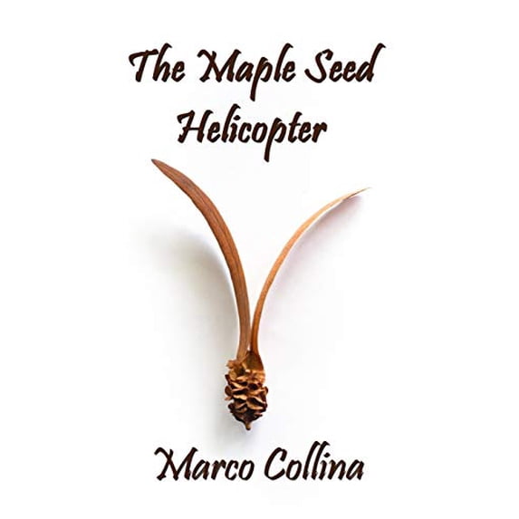 Pre-Owned The Maple Seed Helicopter Paperback - USED