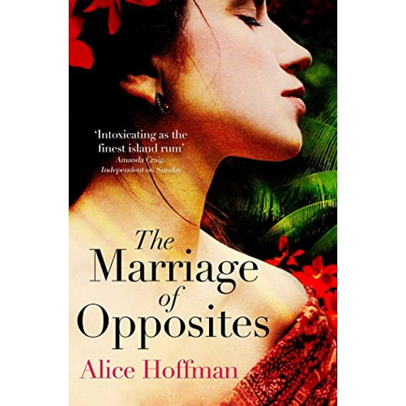 Pre-Owned The Marriage of Opposites (Paperback) 9781471112119